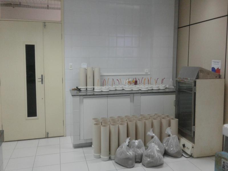 LAFOR - Laboratório de Forragicultura