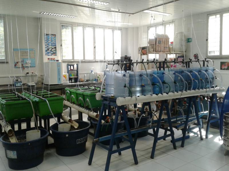 LANOAA  - Laboratório de Aquicultura e Organismos Aquáticos