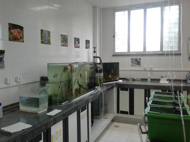 LANOAA - Laboratório de Aquicultura e Organismos Aquáticos